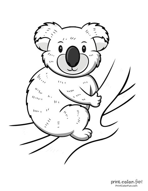 Koala Printable