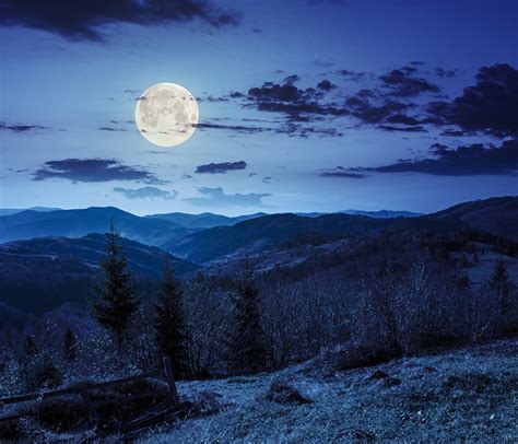 Bilder Von Natur Gebirge Fichten Mond Himmel Nacht Wolke