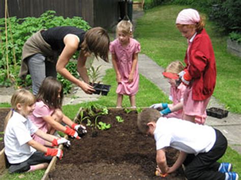 Gardening In Schools Information And Guidance Swcaa