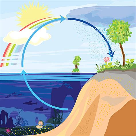 Water Cycle Clip Art Vector Images And Illustrations Istock