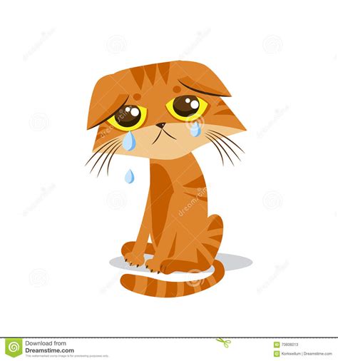 Chat Pleurant Triste Illustration De Vecteur De Dessin Animé Cat Meme