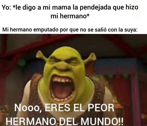 Top Memes De Shrek En Español Memedroid