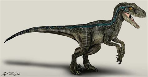 Jurassic World Velociraptor Blue By Nikorex Jurassic World Dinosaurs
