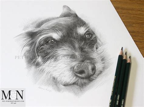 Our pencil portrait lesson explains and illustrates each stage of drawing a portrait from the initial our section on portrait features helps you with the problems that you meet when drawing the eyes, nose pencil portraits how to draw an ear. Pencil Drawing Pet Portrait - Melanie & Nicholas Pet Portraits