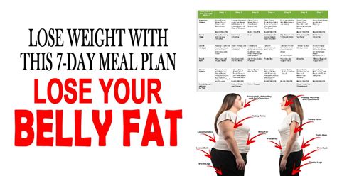 Lose Weight With This 7 Day Meal Plan Lose Belly Fat