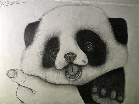 Realistic Drawings Panda Baby Panda Drawing At Getdrawings Free