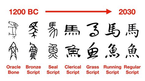 Evolution Of Chinese Characters Youtube