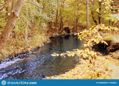 Beautiful Autumn Landscape With Yellow Foliage River Stream With Dark
