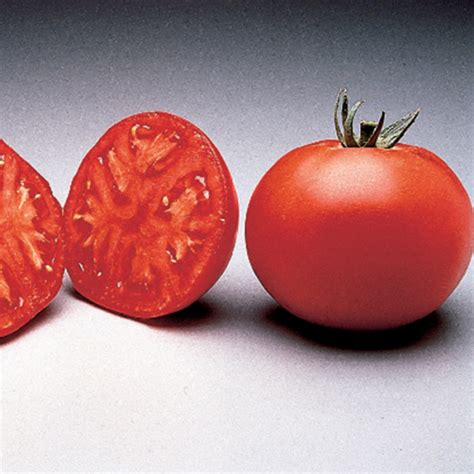 Thessaloniki Tomato Medium Large Tomato Seeds Totally