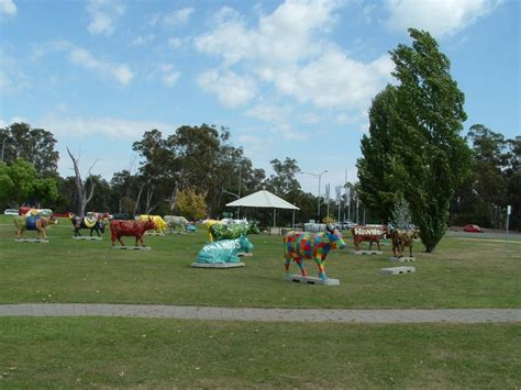 Elders has been a leading agribusiness in rural australia since 1839 with a focus on helping people find success with their agricultural business. Herons Nest: Shepparton's Cows