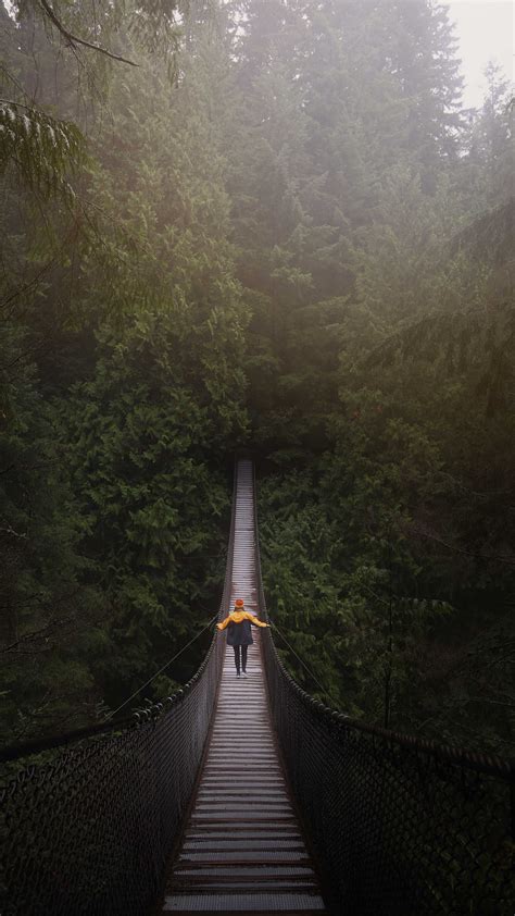 Download Wallpaper 2160x3840 Bridge Man Hanging Trees Forest