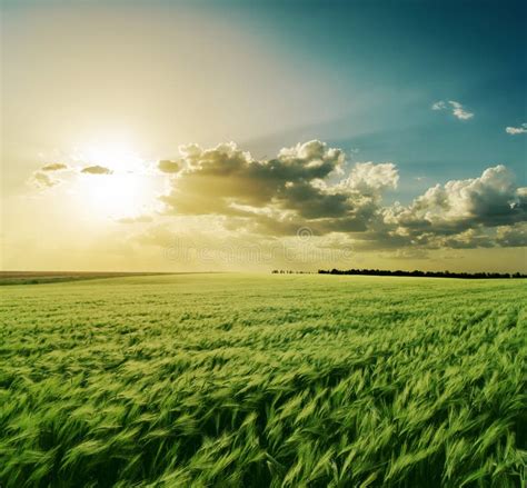 Sunset Over Green Field Stock Image Image Of Country 52341475