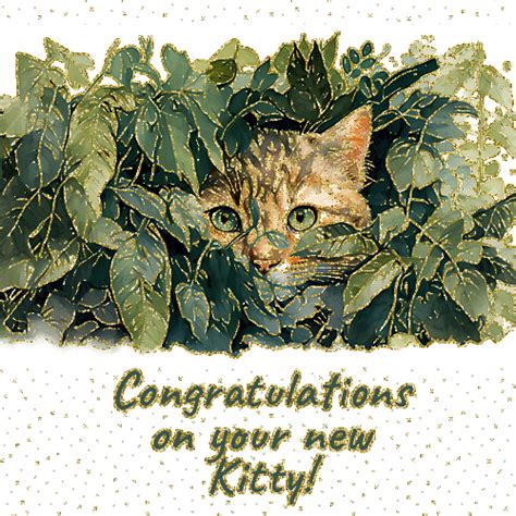 New Kitty Congratulations Free Congratulations Ecards Greeting Cards