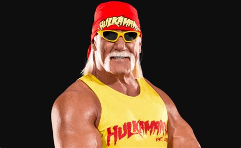 Hulk Hogan Former Wwe Superstar Wife Age Net Worth Tattoo Theme