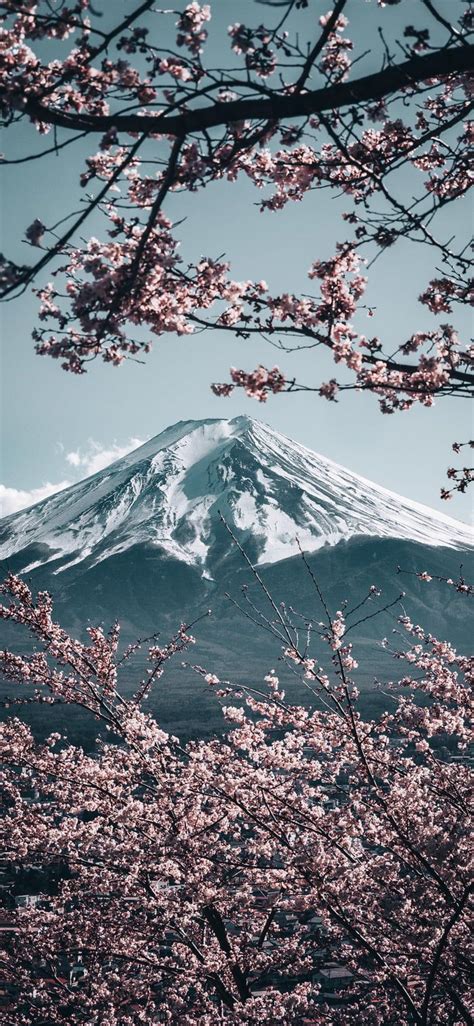 Mt Fuji With Sakura In Japan Wallpaper Mountain Aesthetic