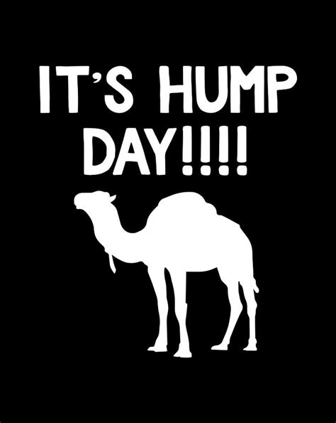 Funny Hump Day Graphic Design Its Hump Day Digital Art By Sue Mei Koh