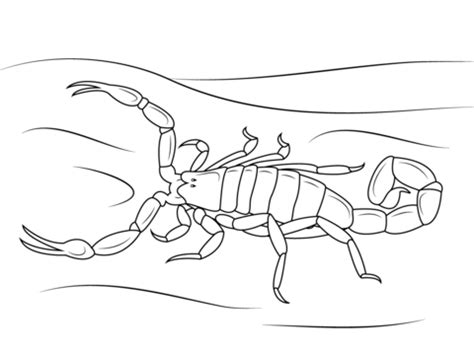 All scorpion coloring pages can be downloaded or printed for free. Striped Bark Scorpion coloring page | Free Printable ...