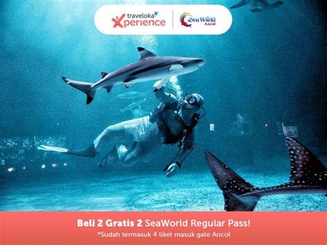 Seaworld Ancol Tickets Easy Access Quick And Easy Booking With