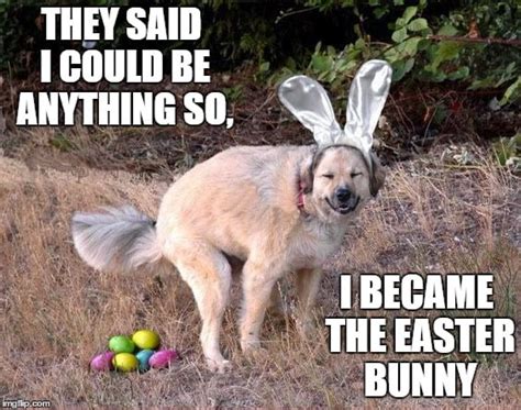 Funny Easter Memes And Images For Sharing Digital Mom Blog