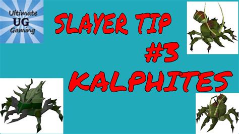This guide will take you through all of the basics and knowledge of slayer, as well as tips, items and mechanics that you will need to know in order to train effectively. OSRS-SLAYER TIP# 3 KALPHITES - YouTube