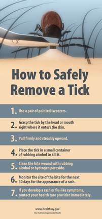 Here is a step by step guide to not only getting rid of a tick that has made itself at home in your flesh but also some tips on how you can prevent additional. Lyme Disease and Other Diseases Carried by Ticks