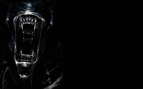 176 Alien Hd Wallpapers Backgrounds Wallpaper Abyss Page 5
