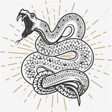 Viper Snake Vector Png Images Viper Snake Illustration On White