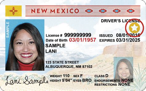 New Mexico Drivers License Application And Renewal 2022