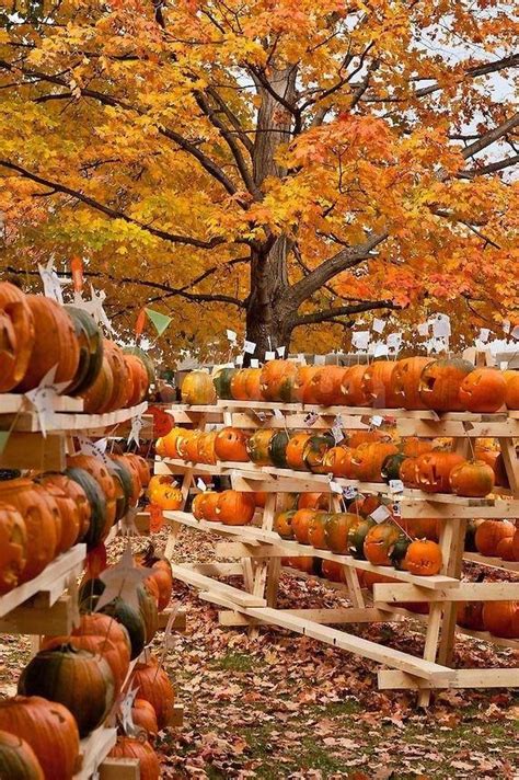 Pumpkin Festival In Keene New Hampshire Fall Foliage Autumn Leaves