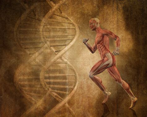 Genetic Testing For Fitness Bionuu