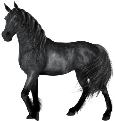 Black Horse Clipart 20 Free Cliparts Download Images On Clipground 2024