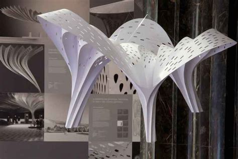 Tonkin Liu Arup Shell Lace Structure Nature Structure Architecture