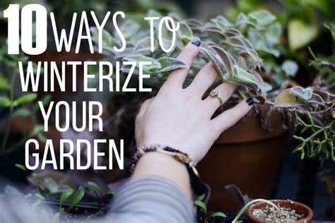 10 Ways To Winterize Your Garden With Images Garden Photo Winter