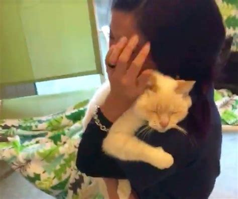 Woman Finds Her Lost Cat After Nearly Two Years Catfeld