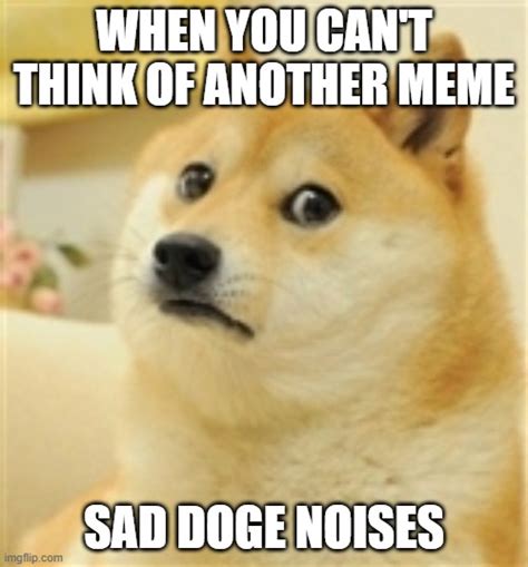 Sad Doge Imgflip