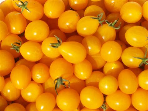 Yellow Cherry Tomato Recipes Jackson England