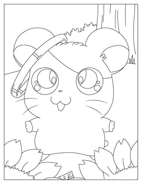 Hamster De Desenho Animado Para Colorir Imprimir E Desenhar Colorir Me