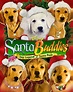 Navidad con los Buddies: En busca de Santa Can - Película 2009 ...