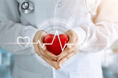A Brief Guide To Heart Disease For Older Adults