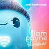 Liam Payne: Sunshine, la portada de la canción