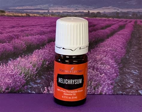 Young Living Essential Oil HELICHRYSUM 5 Ml 2 Ml 1 Ml Sample - Etsy