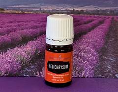 Helichrysum Young Living