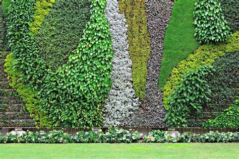 Vertical Garden Design Gorgeous Living Wall Ideas