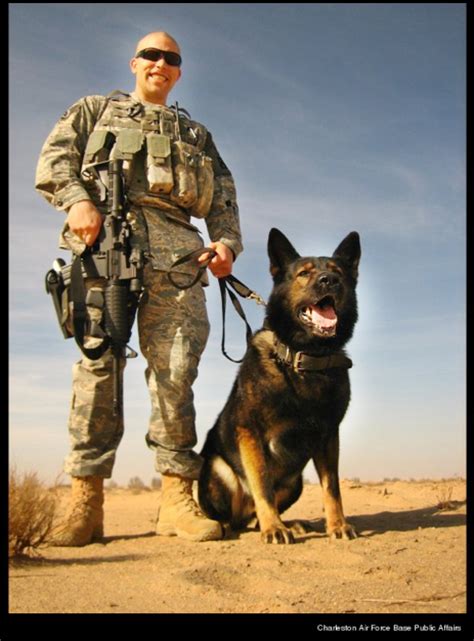 Dogs Of War Our Canine Soldiers Dog Blog
