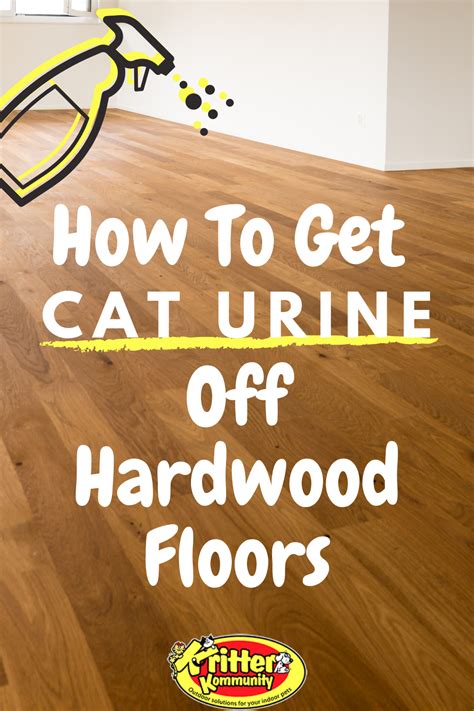 How To Remove Cat Urine Odor From Wood Floors Abevegedeika