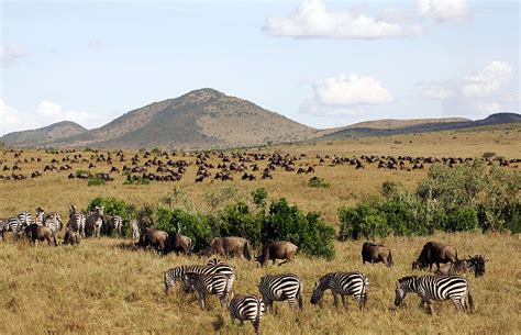 Mother Nature Maasai Mara National Reserve Kenya