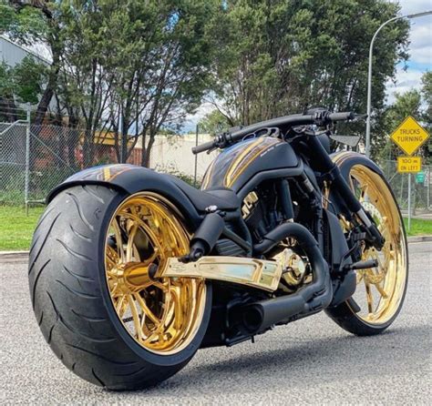 Harley Davidson V Rod Australia By Dgd Custom
