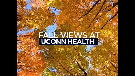 Fall Views At Uconn Health Youtube