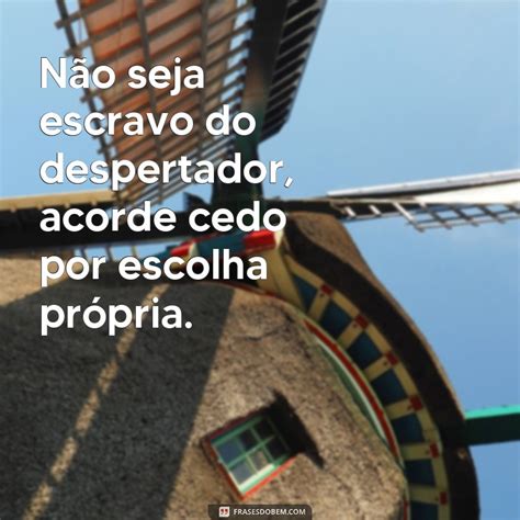 Frases Para Acordar Cedo