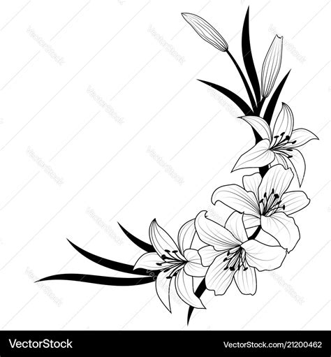 Lily Flower Royalty Free Vector Image Vectorstock